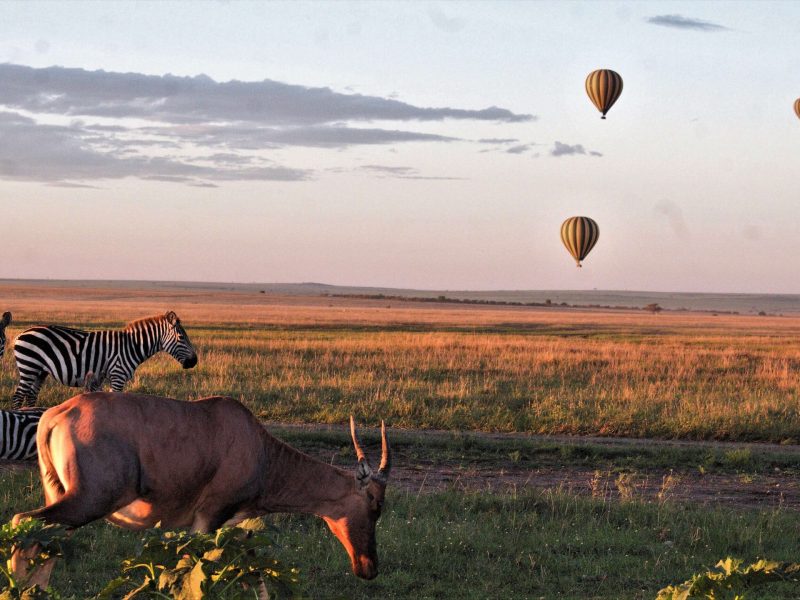 balloon-safari-tanzania-Kanje