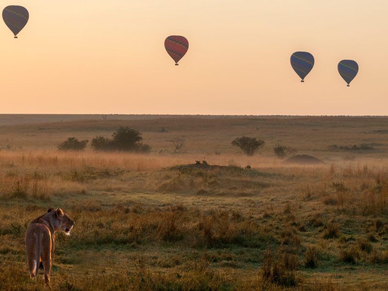 3 days Tanzania Lodge Safari